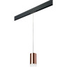 Трековый светильник LIGHTSTAR Rullo PRORP430430